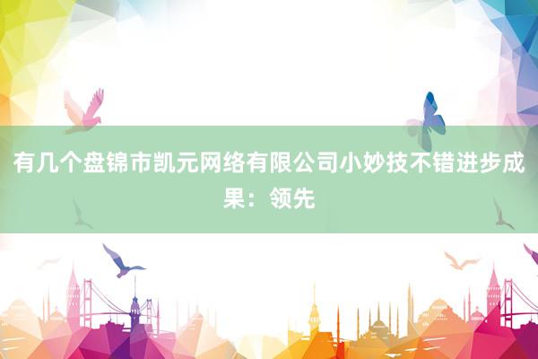 有几个盘锦市凯元网络有限公司小妙技不错进步成果：领先